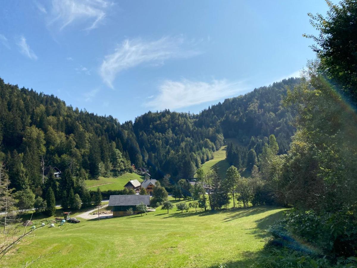 Apartma Jure Zgornje Gorje ภายนอก รูปภาพ