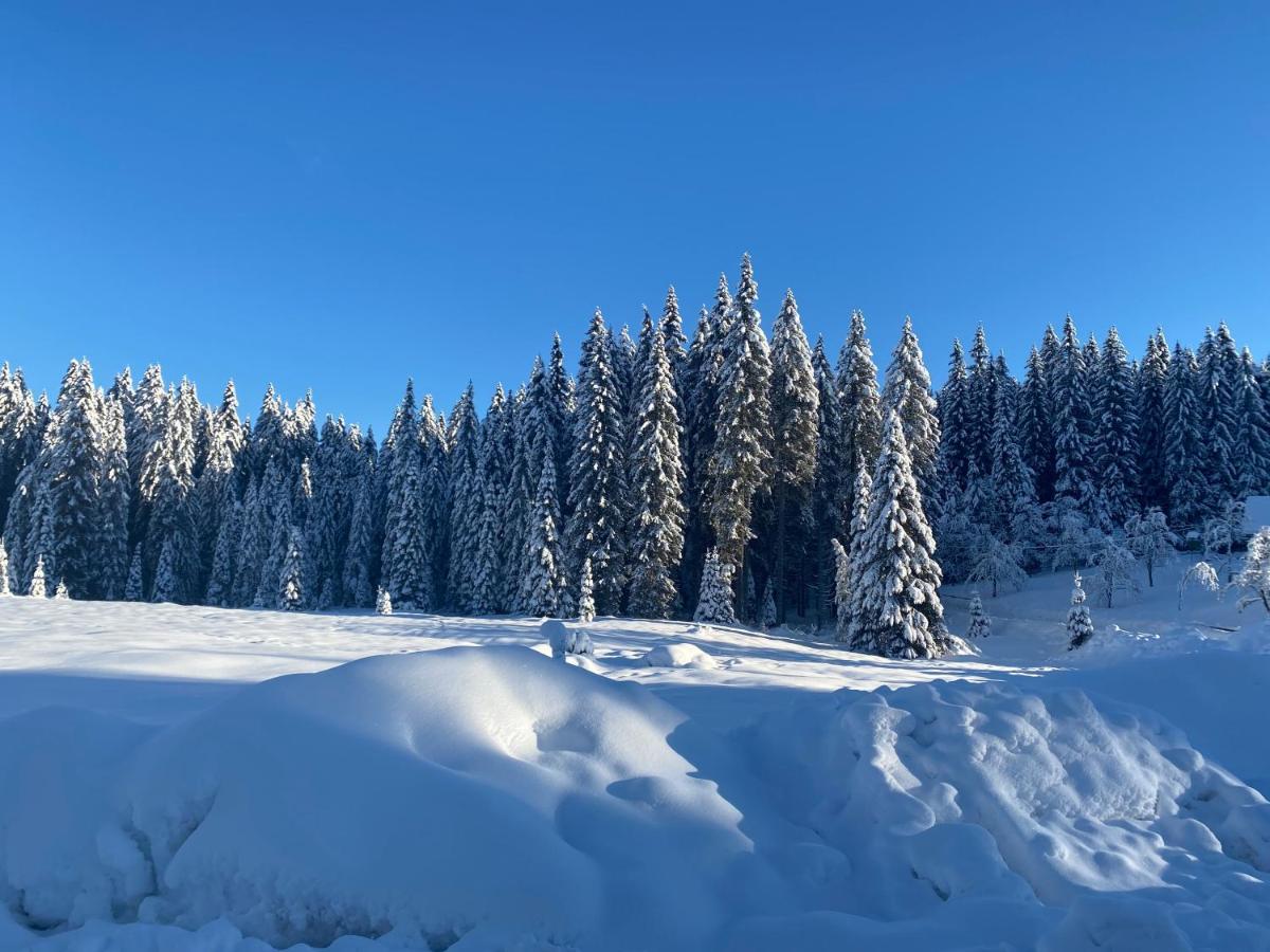 Apartma Jure Zgornje Gorje ภายนอก รูปภาพ