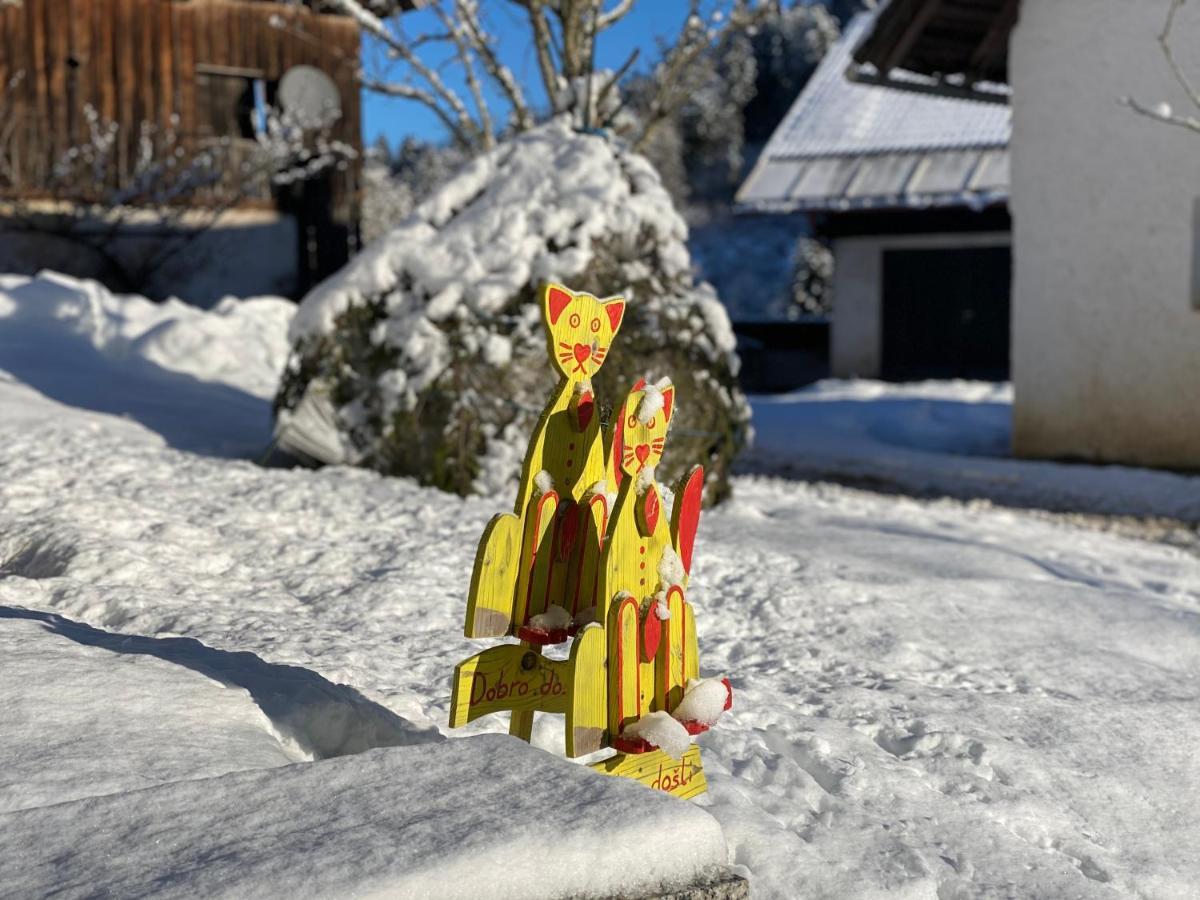 Apartma Jure Zgornje Gorje ภายนอก รูปภาพ
