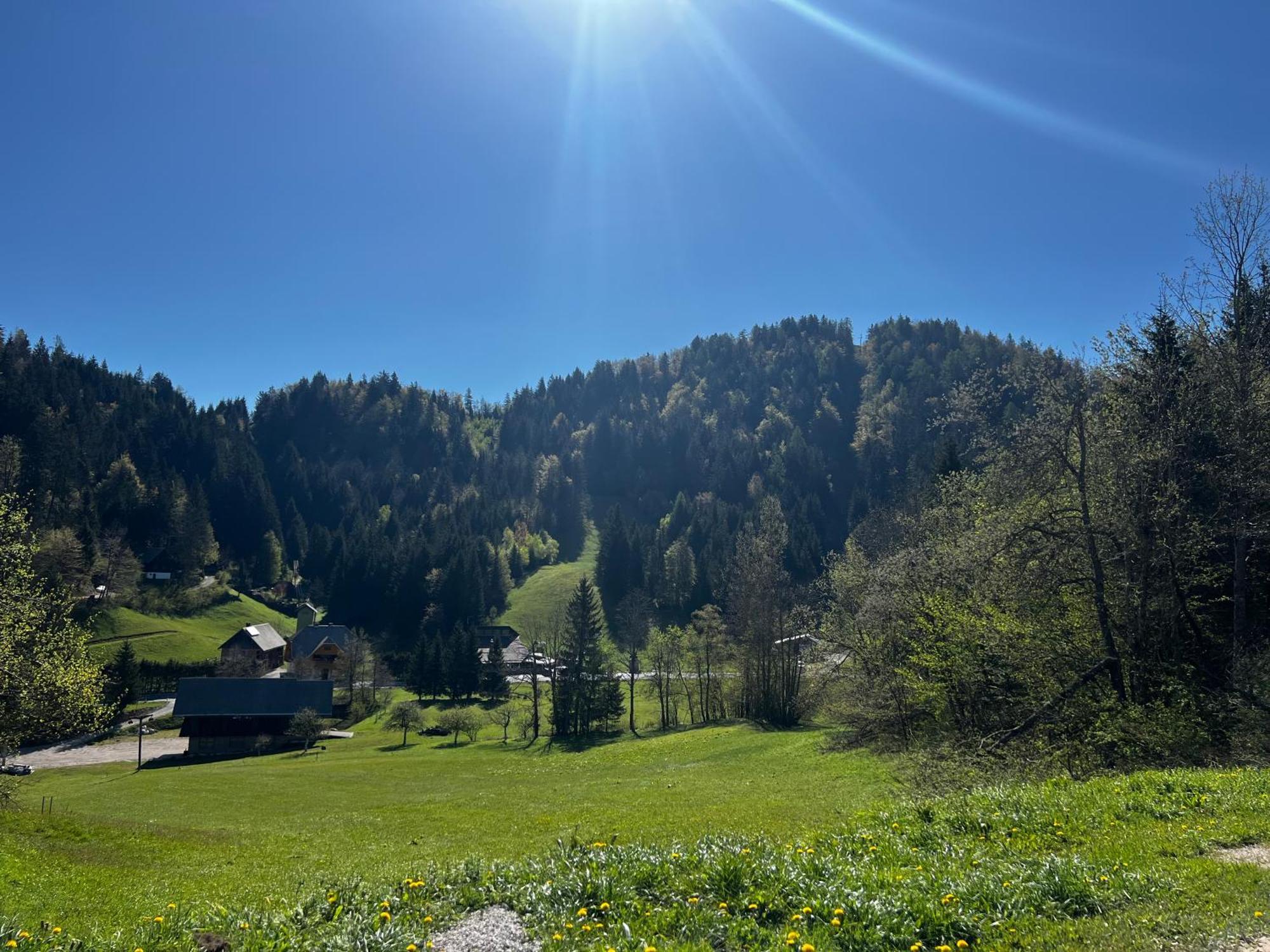 Apartma Jure Zgornje Gorje ภายนอก รูปภาพ